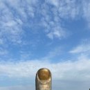 한국체대 신화멀티짐 | [서울 송파구] 나홀로 나무가 좋았던 올림픽 공원 9경 훑어보기