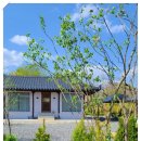 스테이더담 이서점 이미지