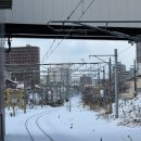 방문 | 삿포로 오타루 여행, 가는법, 오르골당 운하 방문 후기