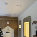 꼬리흔들 유치원 | 안양 중대형견 유치원 꼬리흔들유치원 내돈내산 호텔링 후기