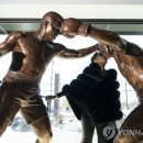 세기 복싱 체육관 이미지