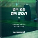 GDR아카데미(온스윙) | 강남 골프연습장, 내 스윙을 분석해주니 문제점이 한눈에! GDR아카데미 강남센터필드점