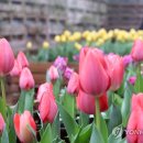 박지호농장 이미지