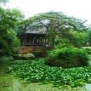 보길면-3 이미지