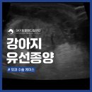 운남동물병원 이미지