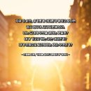 1117 | 사랑 명상 1117