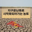 GLOBAL 행정사 사무소 네이버블로그