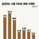 서울포트 이미지