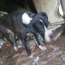 고선농장 이미지