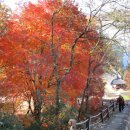 강경젓갈시장 이미지