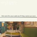 예일동물병원 이미지