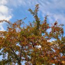 박지용 재즈 피아노 리사이틀 이미지