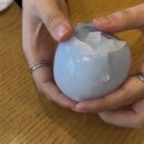 11 | 말랑이(스퀴시) 11종 후기