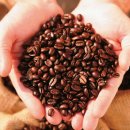 다양하개 이미지