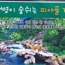 피아골단풍민박 이미지