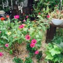 신세계I어린이집 이미지