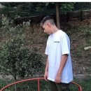 엔젤팜 Daum카페