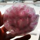 빈노래연습장 이미지