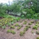 유신농장 이미지