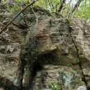 큰바위농장 이미지