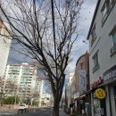 호밀호두제주 네이버블로그