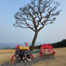 오션힐스 골프 & 리조트 | 영덕 <오션비치> 골프&amp;리조트 투어 후기