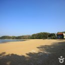 수기해변 Daum카페