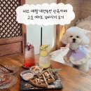 애월이오 | 제주 애월 애견동반 한옥카페 고효 에이드 쑥바삭이 후기