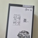 봄내다살이 이미지