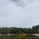 금정체육공원 이미지