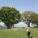 봉황세차장 이미지