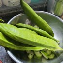 구만농장 이미지