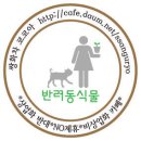 [정보요!] 강아지가 먹어서 좋은/안되는 음식/과일/야채 종류 + 애견 나이 계산법 이미지