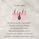 신반포로43길 23-11 | [논현] 논현, 신사역 왁싱 추천 잠원동 리솔브뷰티 종아리왁싱 솔직후기