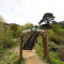 지리산 천년송 Daum카페