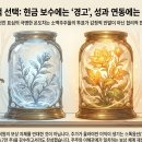 (주)청류종합중기 | 올릭스 임시주주총회 완전 정리 — 보수 안건 하나에 이렇게 많은 이야기가 담긴 이유