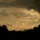 스테이그랴 이미지