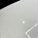 세차혁명 이미지