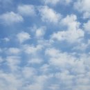 파도농장 이미지