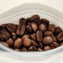 헬로빈스 이미지