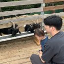 윤재농장 이미지