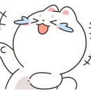 모모애견미용실 이미지