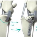 오뜨동물의료센터 이미지