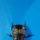 산골편의점 이미지