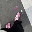 수쿠수쿠샵