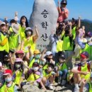 명성태권도체육관 이미지