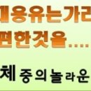 주식회사 녹색약품 네이버블로그