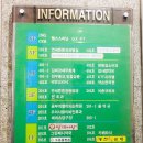그린메디약국 이미지