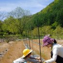 감고을펜션 이미지