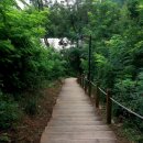 성현동-19 이미지